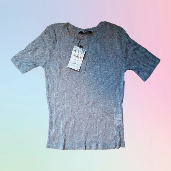 Zara BNWT Sparkle Mesh Tee - Picture 1 of 3
